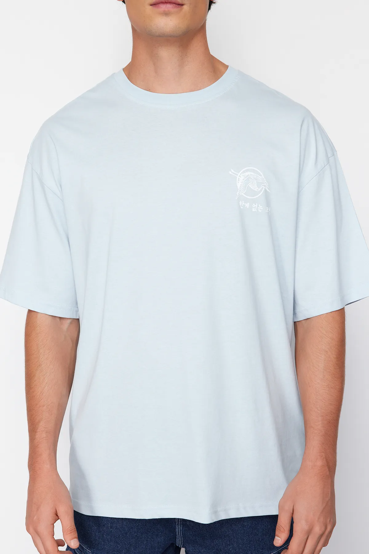 Trendyol Collection  Hellblaues, übergroßes/weit geschnittenes T-Shirt aus 100 % Baumwolle mit Fernost-Aufdruck TMNSS23TS00170
