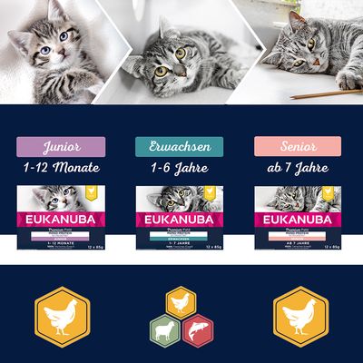Sparpaket Eukanuba Kitten Getreidefrei 24 x 85 g
