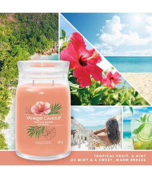 Yankee Candle Tropical Breeze Duftkerze-368 g