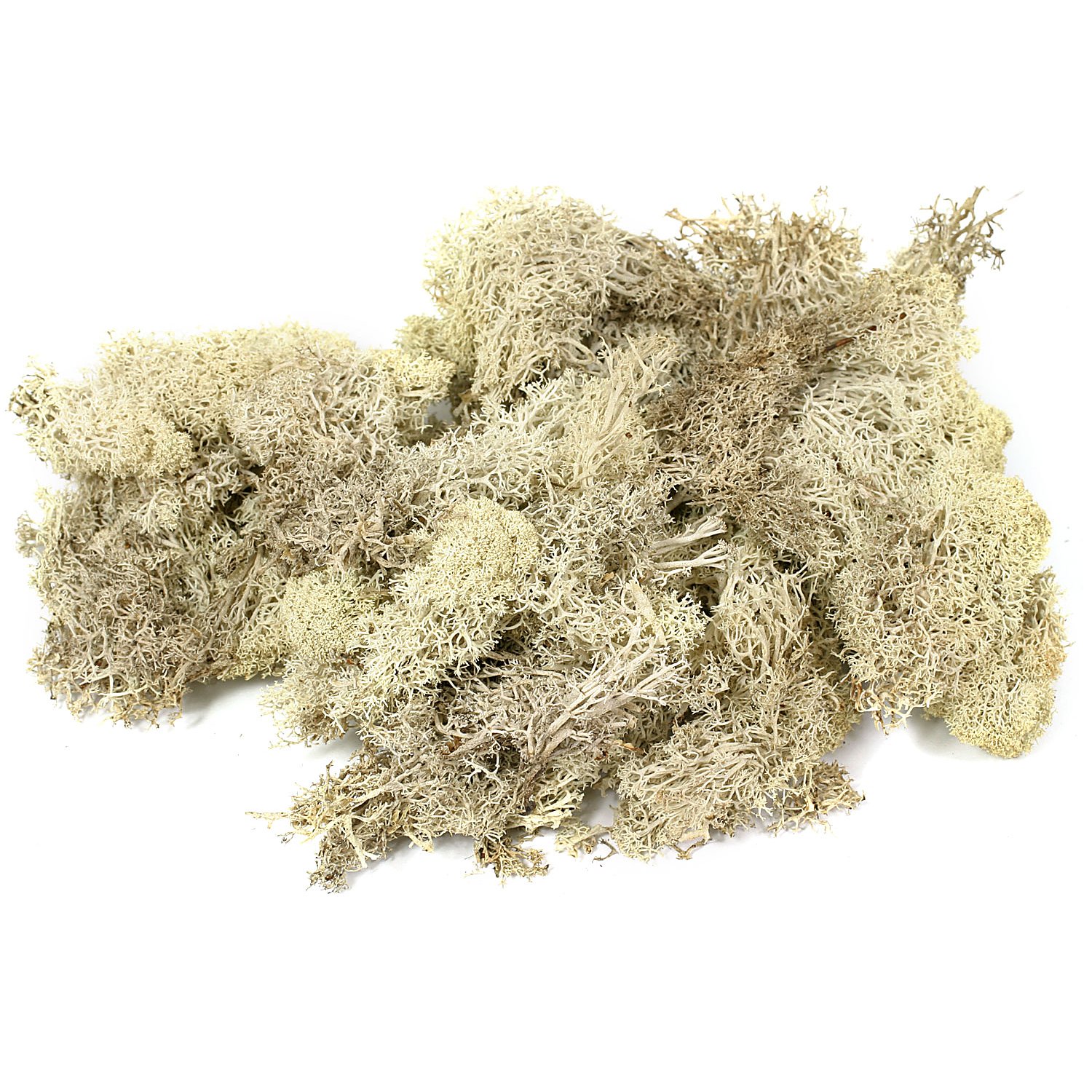 Islandmoos, natur, 100 g