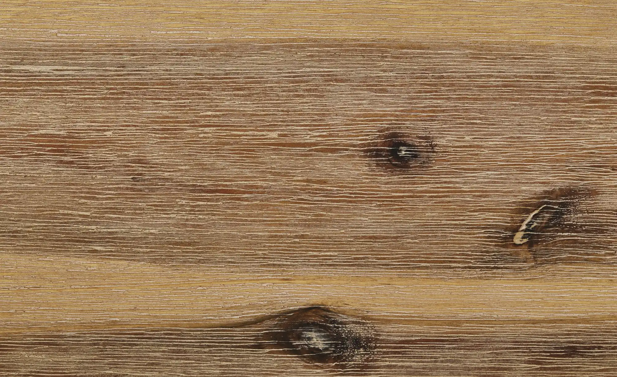 Woodford Wandregal Borneo