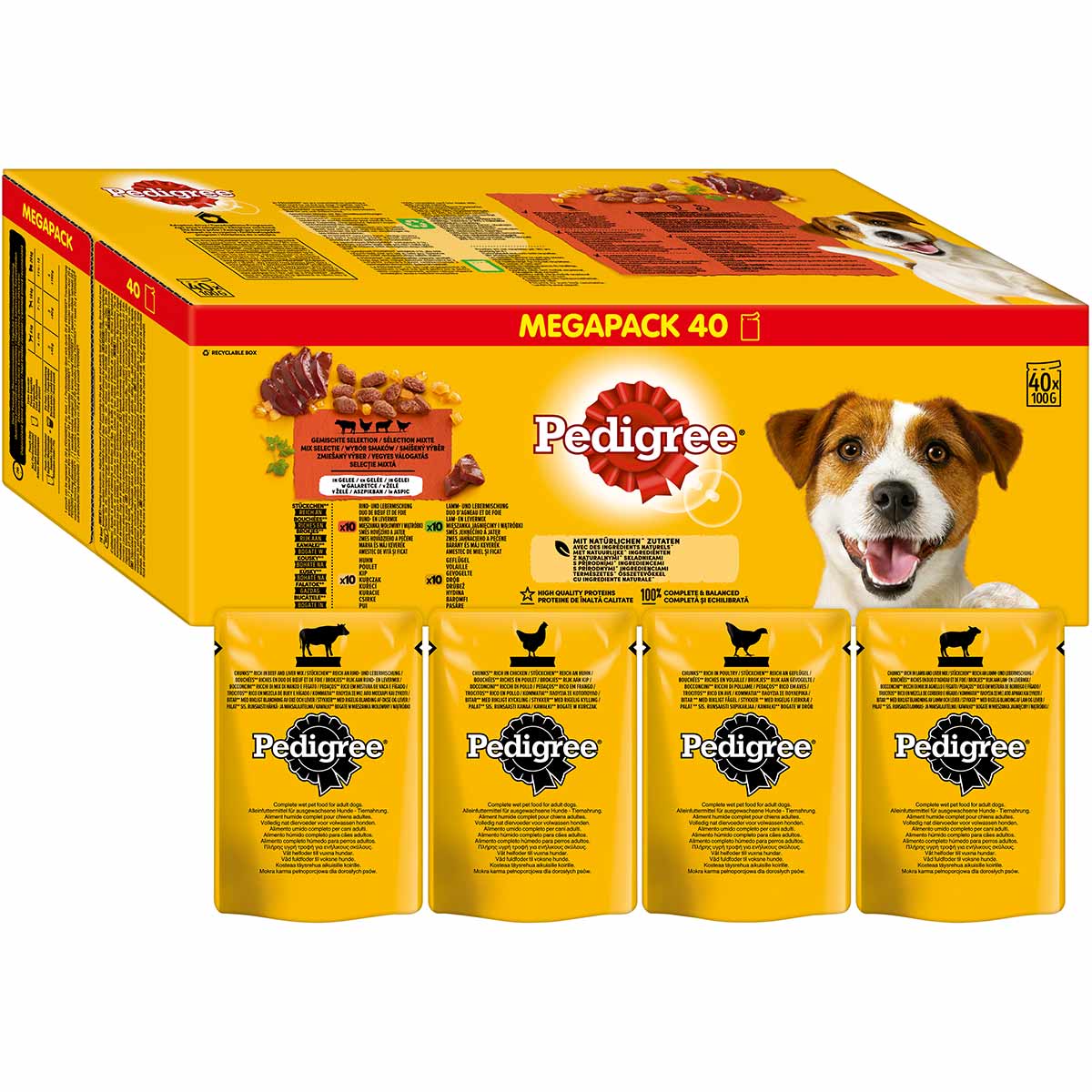 PEDIGREE Megapack Gemischte Selektion in Gelee 40x100g