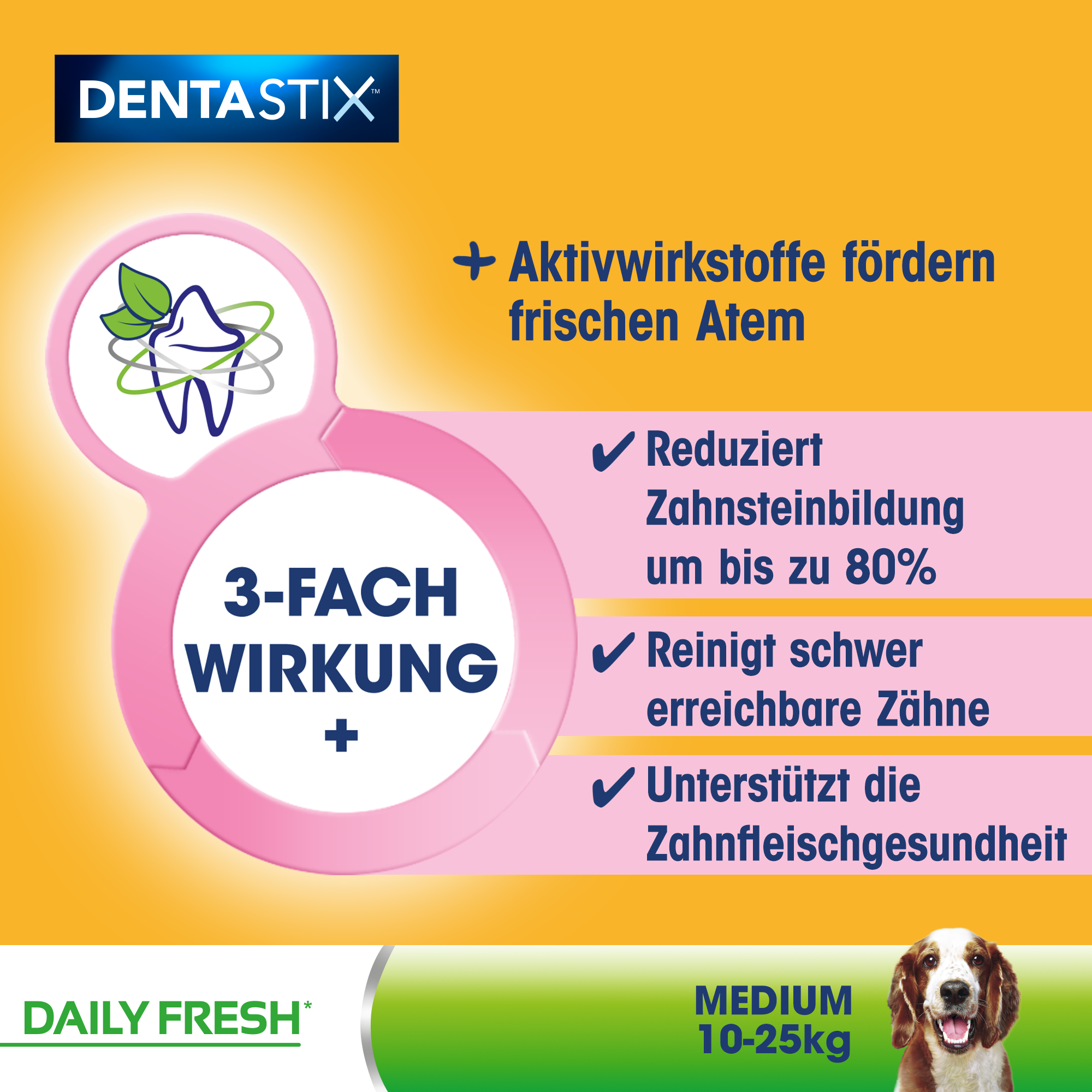 Pedigree Snacks Pedigree Zahnpflege Dentastix Fresh Multipack 28 Stück für mittelgroße Hunde
