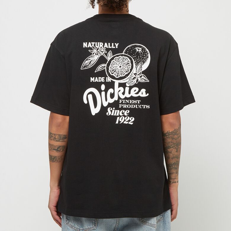 Dickies Raven Tee Short Sleeve Black schwarz