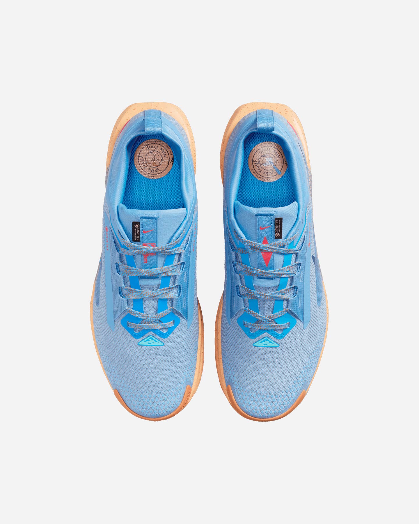 Scarpe Trail Nike Pegasus Trail 5 Gore Tex M FQ0908-400