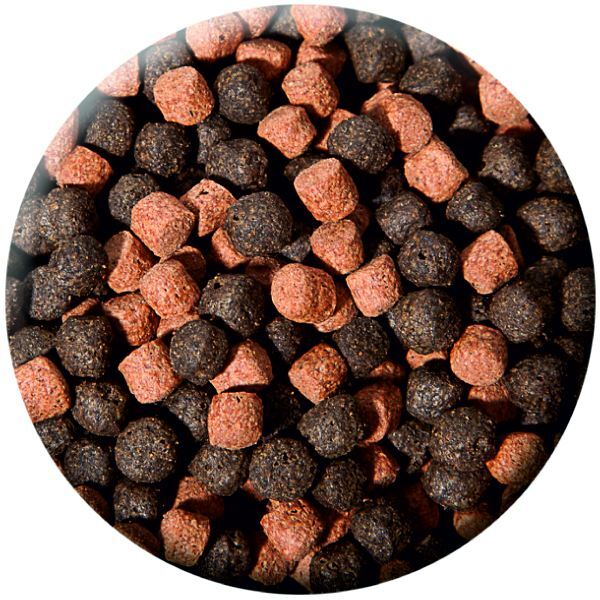 KENKOU Hauptfutter KENKOU Koifutter Vita-Immun MIX 3mm 10 kg