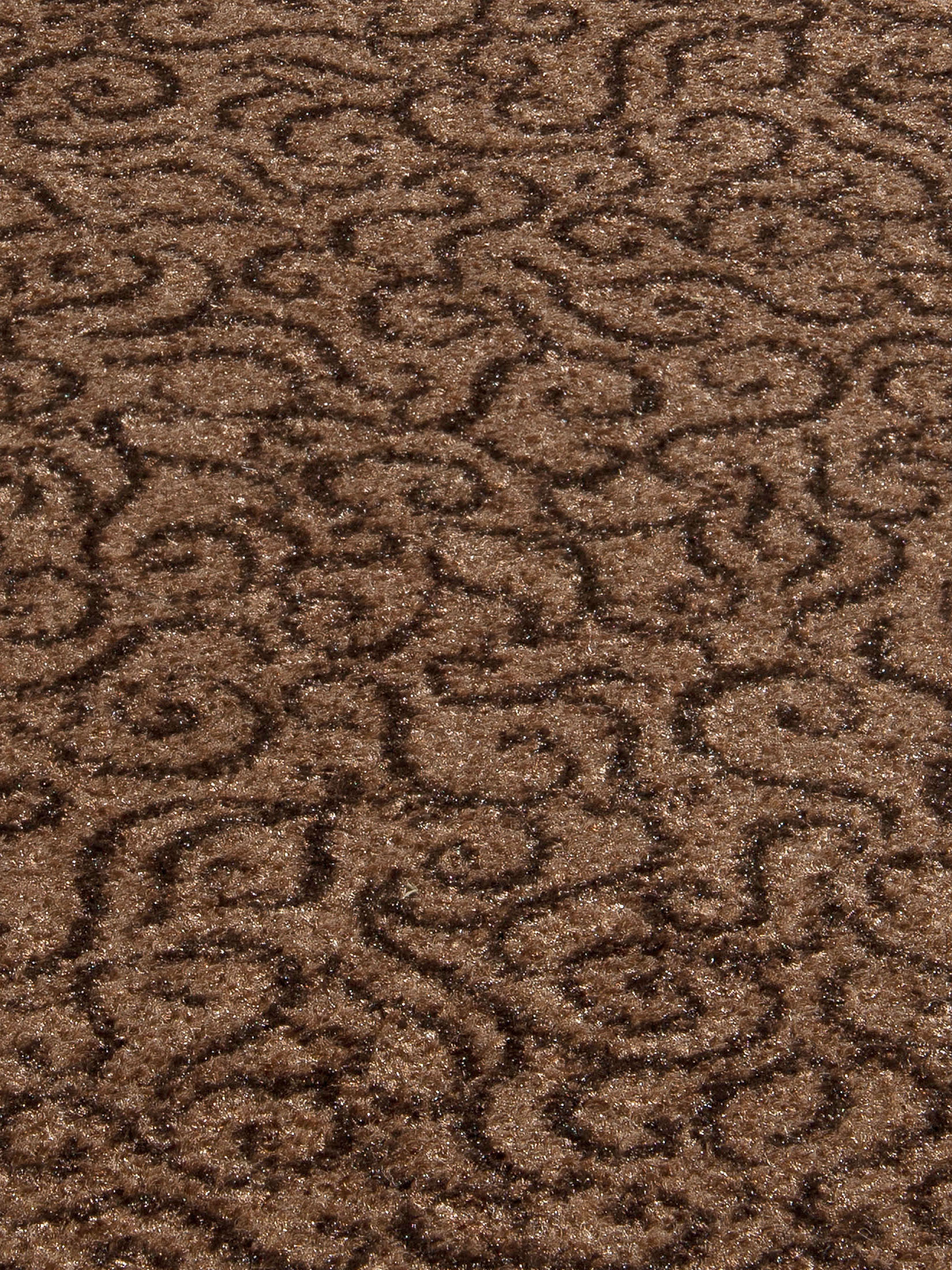 Aktiv Colour Sauberlaufmatte, Braun