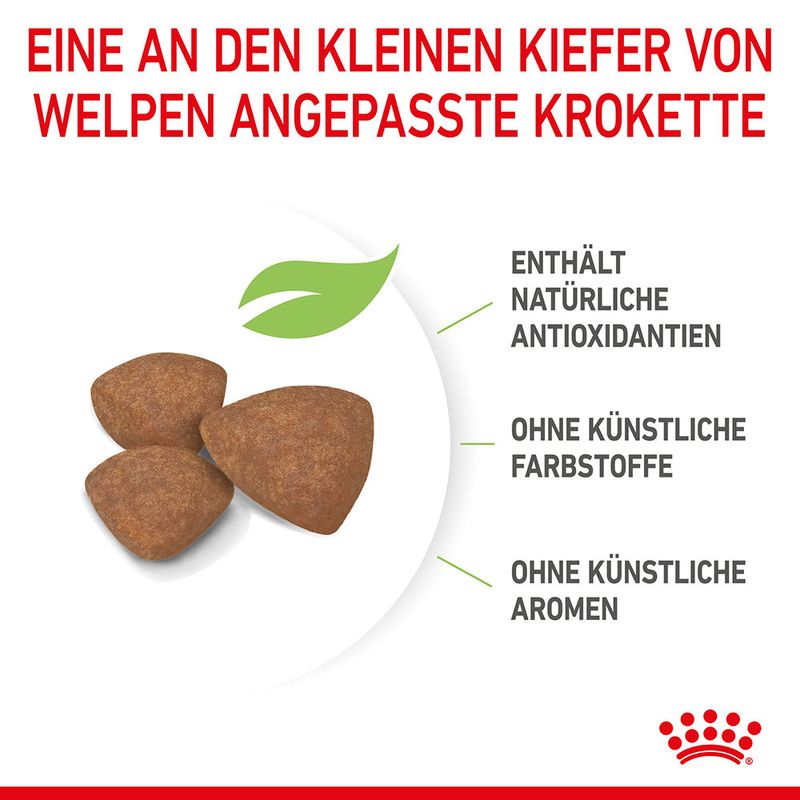 Royal Canin Mini Puppy zu TOP-Preisen