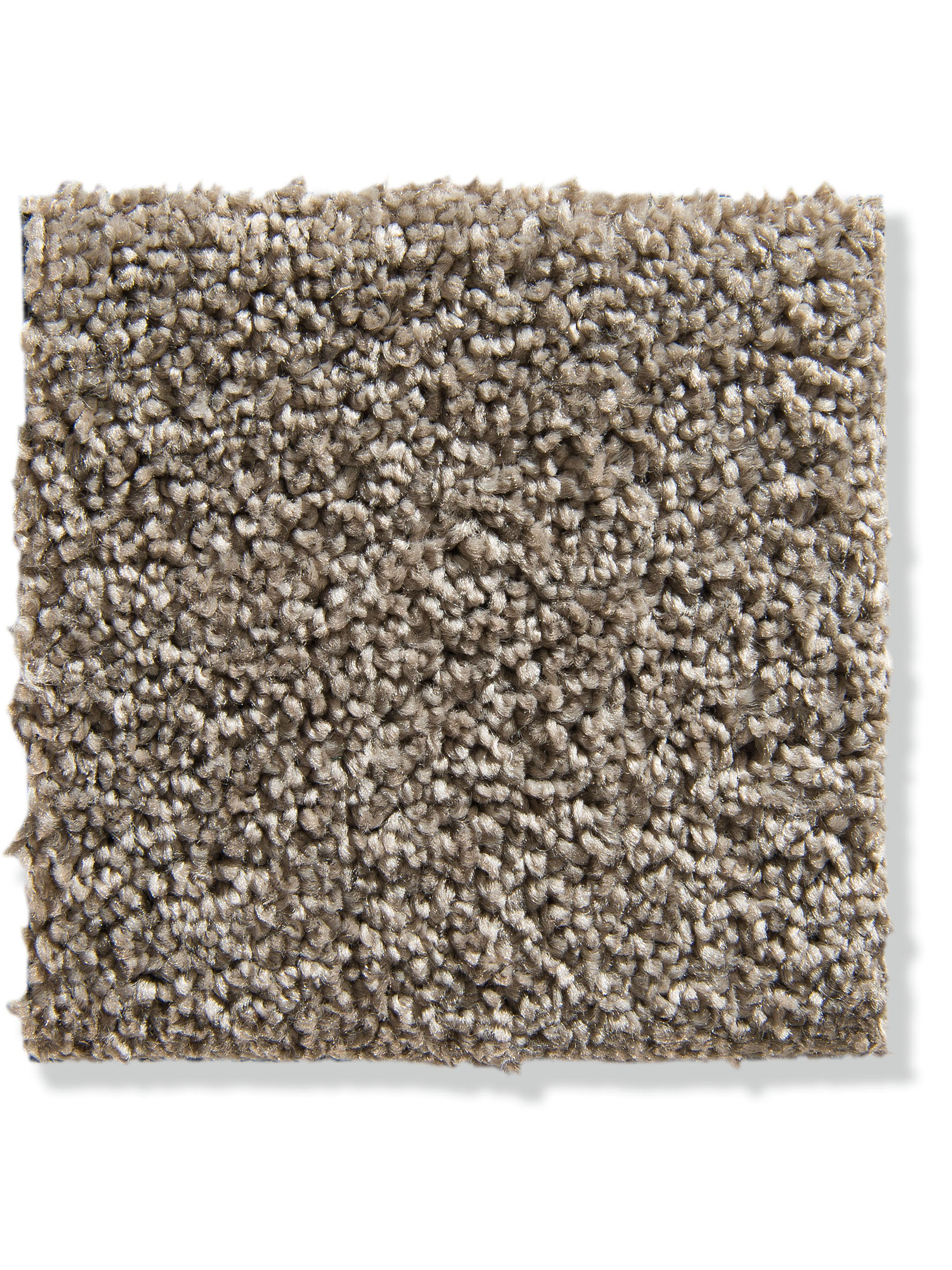 Praia Velours-Teppichboden, Cappuccino 65