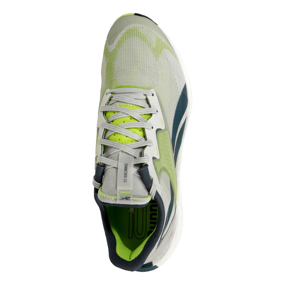 Reebok Floatride Energy Symmetros 2.5 IE4644 / grau