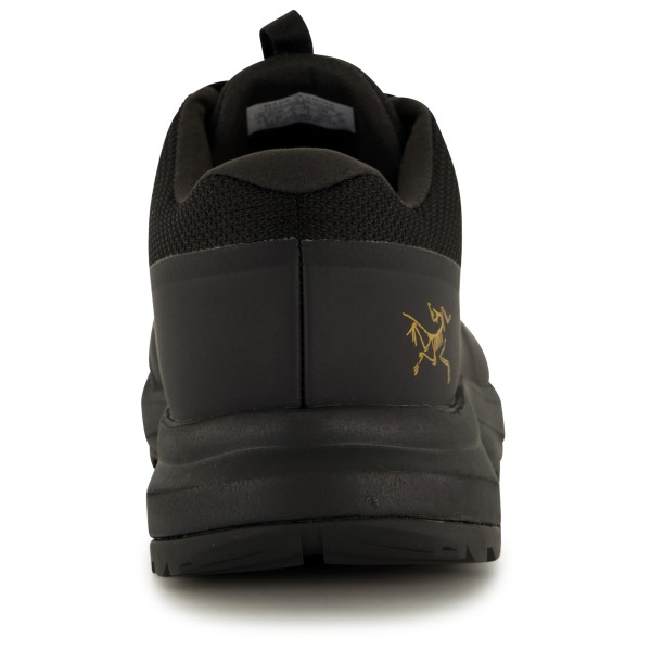Arc'teryx - Women's Aerios FL 2 GTX - Multisportschuhe