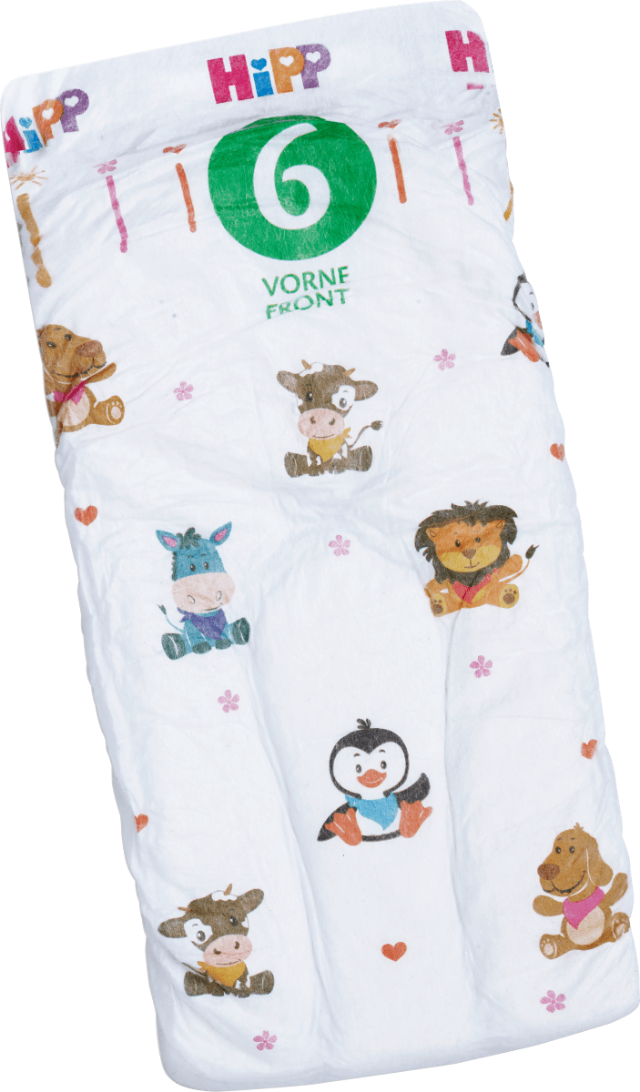 Windeln Gr. 6 Extra (13+ kg), Monatspack, 156 St