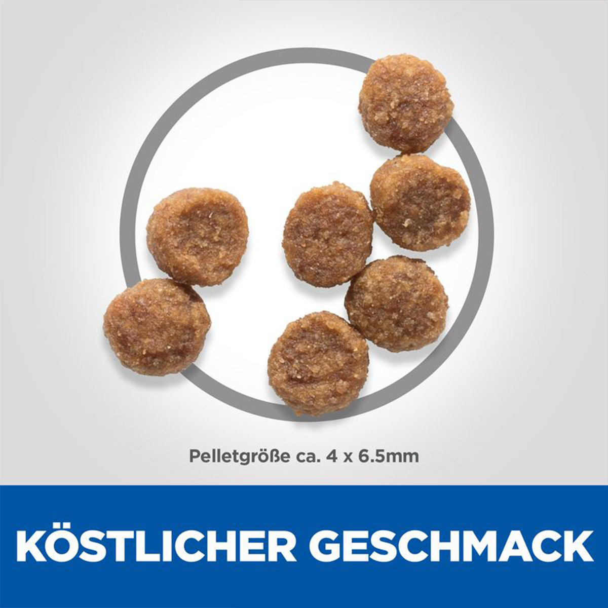 Hill's Science Plan Small&Mini Puppy Huhn 1,5kg bei ZooRoyal