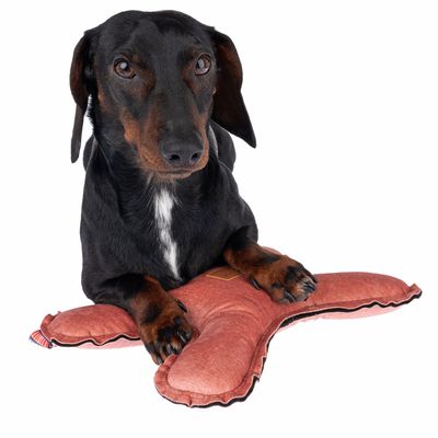 Nomad Tales Blush Hundespielzeug Flying X