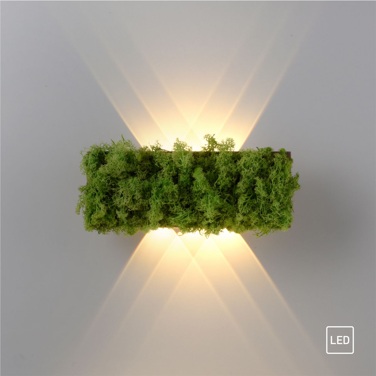 JUST LIGHT LED Wandleuchte GREEN CARLO, mit echtem Moos, 3000 K