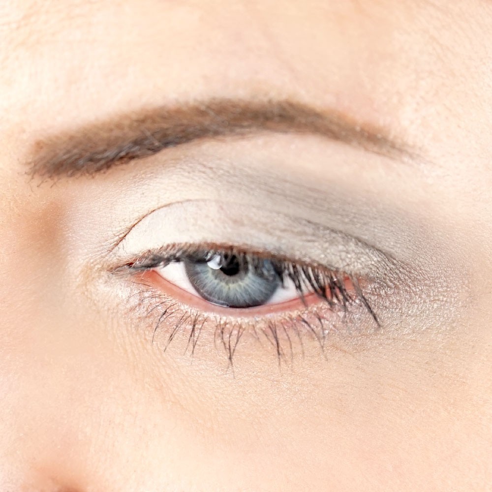 ZAO Matt Eyeshadow