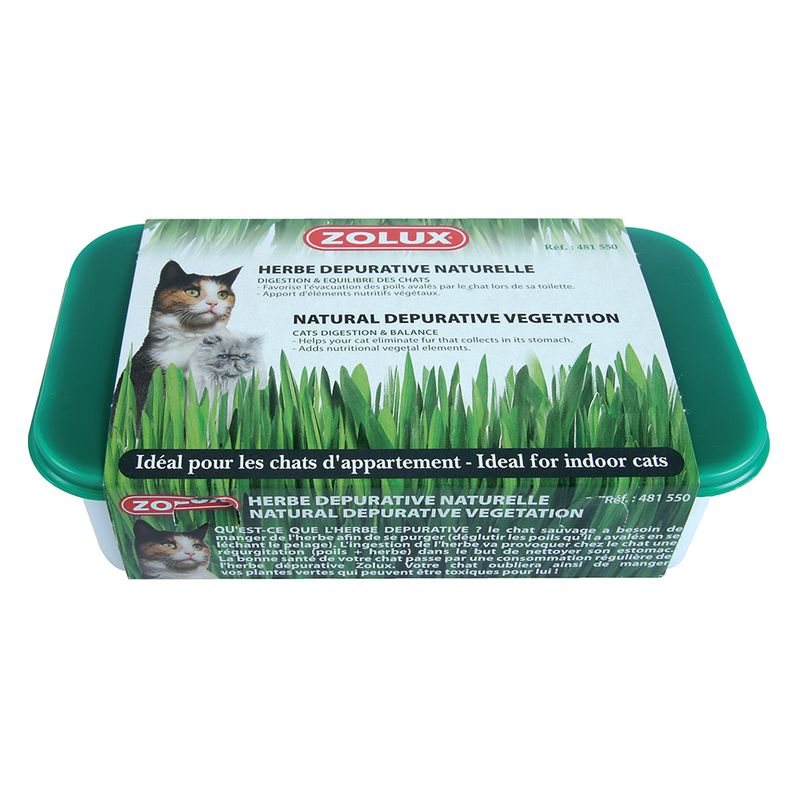 Zolux Katzengras zu TOP-Preisen
