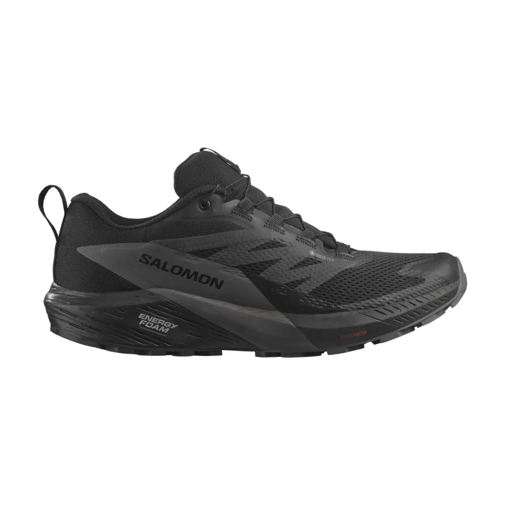 Salomon Sense Ride 5 GTX L47147200 / schwarz
