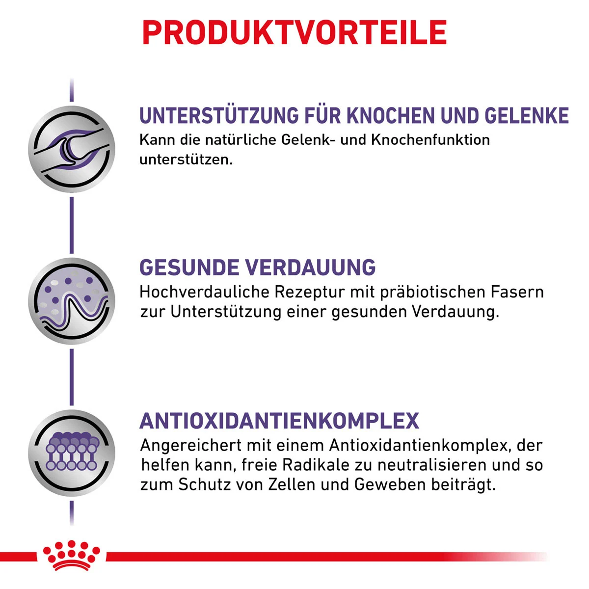 ROYAL CANIN Expert ADULT LARGE DOGS Trockenfutter für Hunde 13kg