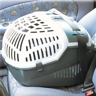 Transportbox Avior