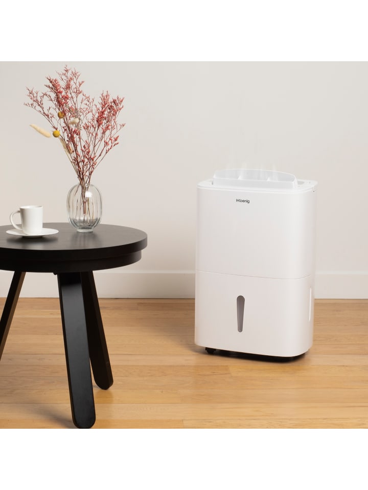 HKoenig Luftentfeuchter DSH520 in Weiss günstig kaufen onesize