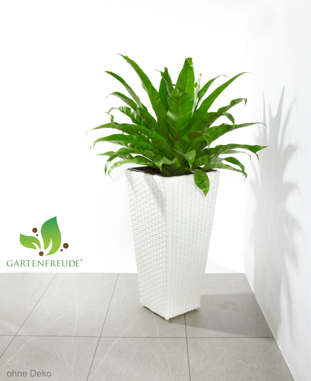 Weles Pflanzkübel Polyrattan 28 x 28 x 60 cm, für Innen und Außen, Kunststoffeinsatz, weiß