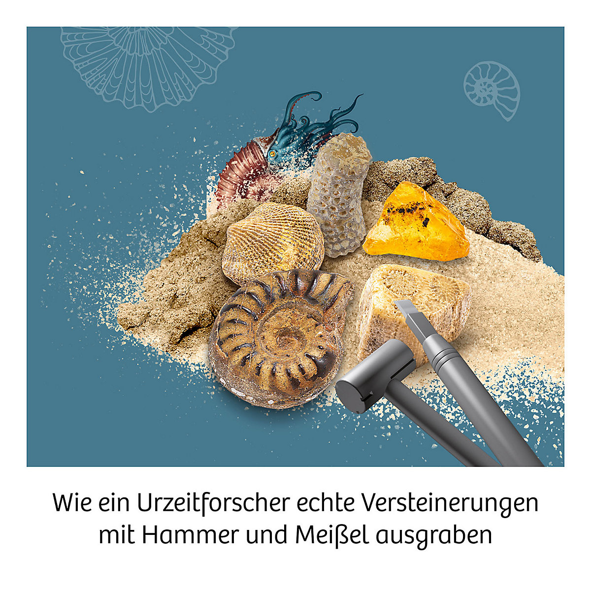 Ausgrabungs-Set Fossilien