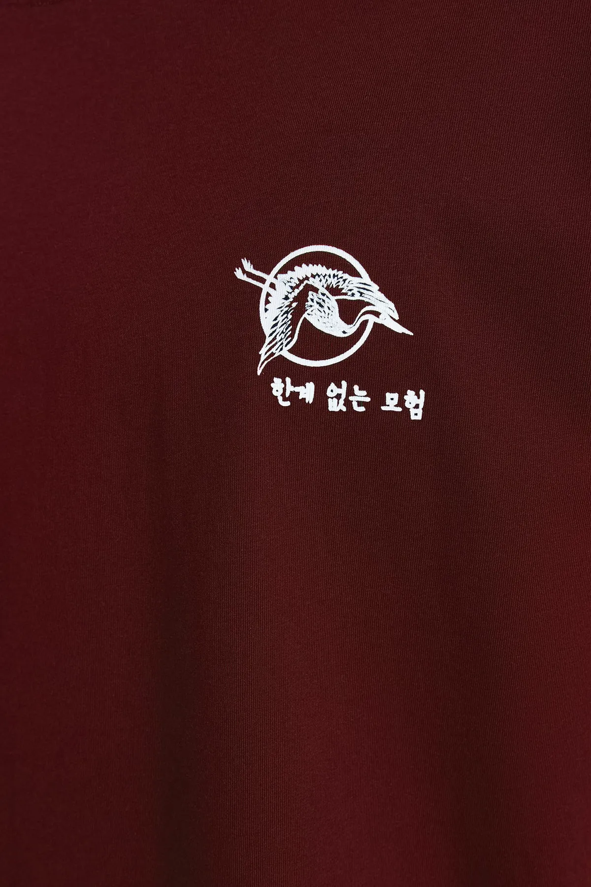 Trendyol Collection  Braunes Oversize-T-Shirt aus 100 % Baumwolle mit Fernost-Aufdruck TMNSS23TS00170