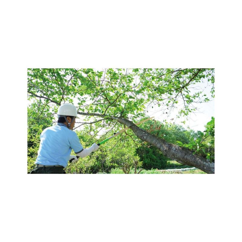 Silky Folding Saw Katanaboy 650-4 Extra Large Teeth (710-65)