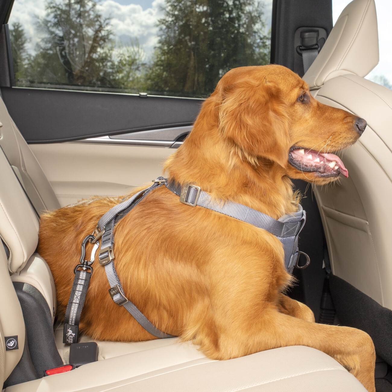 Kurgo Autozubehör Kurgo Auto-Sicherheitsgurt für Hunde mit Swivel Tether mit ISOFIX-Direktverbindung