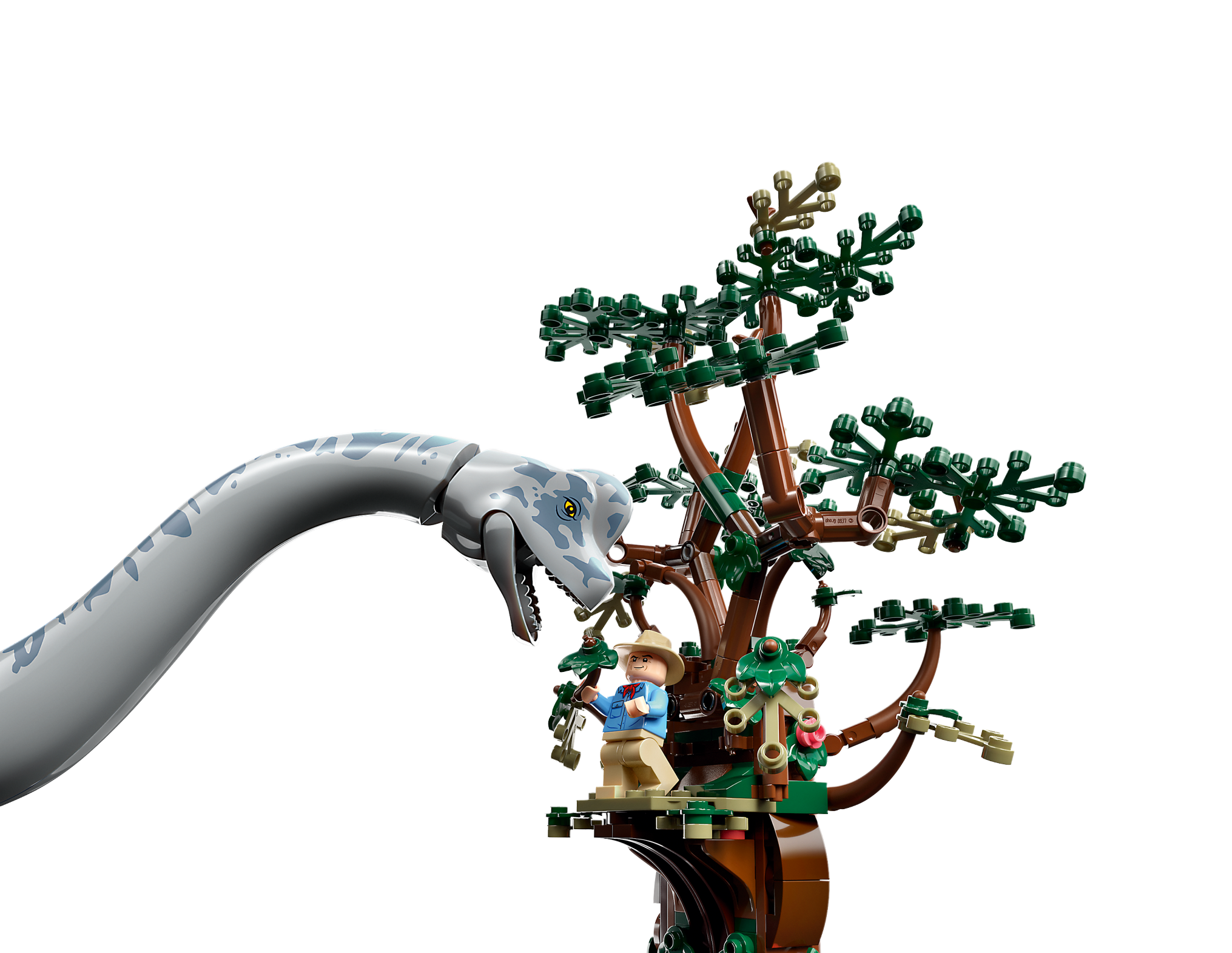 Entdeckung des Brachiosaurus 76960