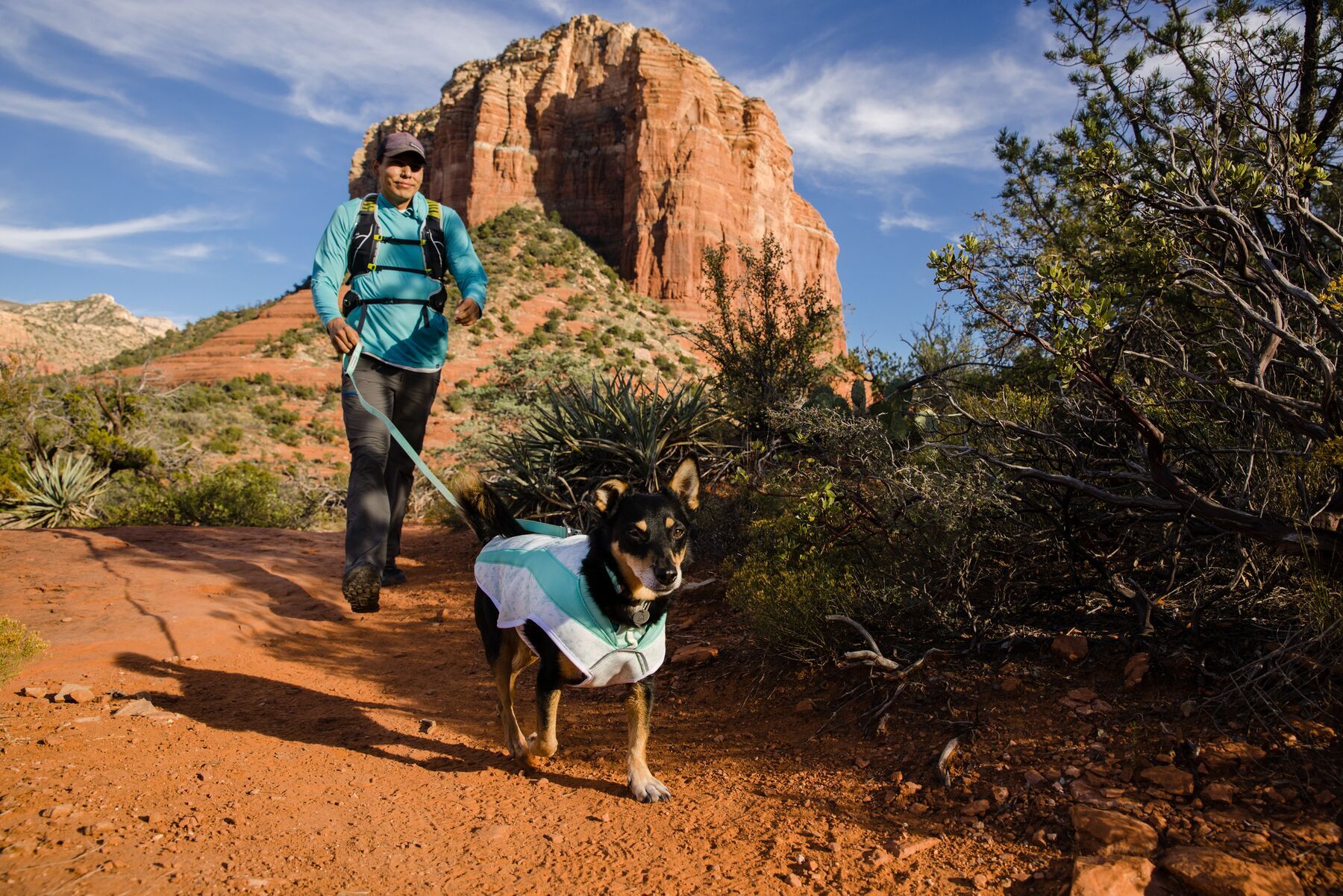 Ruffwear Hundewesten Ruffwear Swamp Cooler™ Kühlweste für Hunde grün M