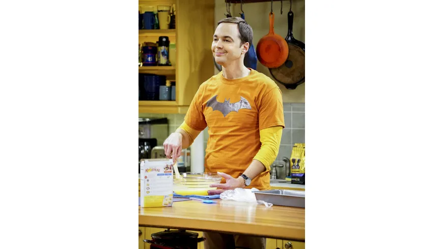 The Big Bang Theory - Staffel 10  [3 DVDs]