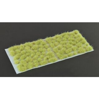 Light Green 6mm Wild
