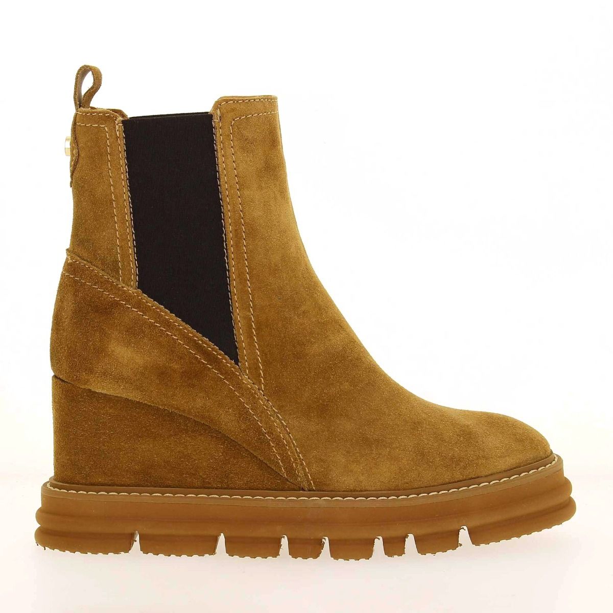 Alpe  2591 - camel