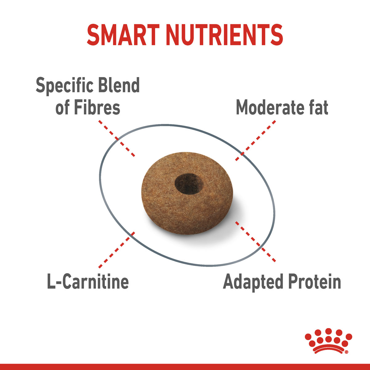 Royal Canin FCN Appetite Control günstig kaufen
