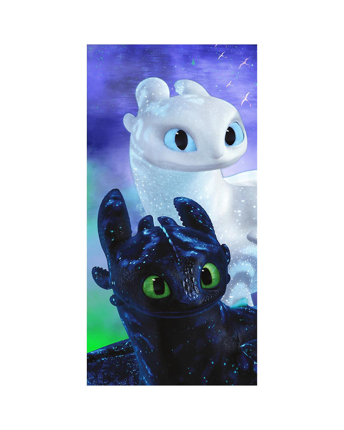 Strand- & Badetuch How to Train Your Dragon,Magic, 70 x 140 cm