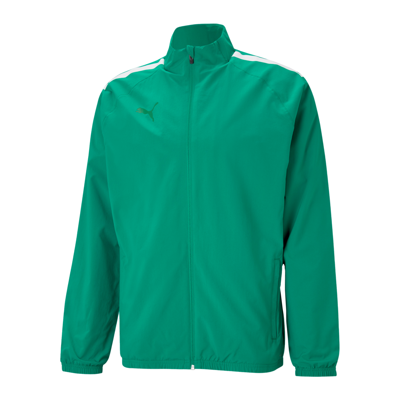 PUMA teamLIGA Sideline Jacke Grün Weiss F05
