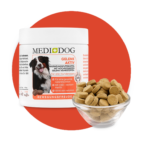 MediDog Ergänzungsfutter & Aufzucht MediDog Gelenk Aktiv Tabletten