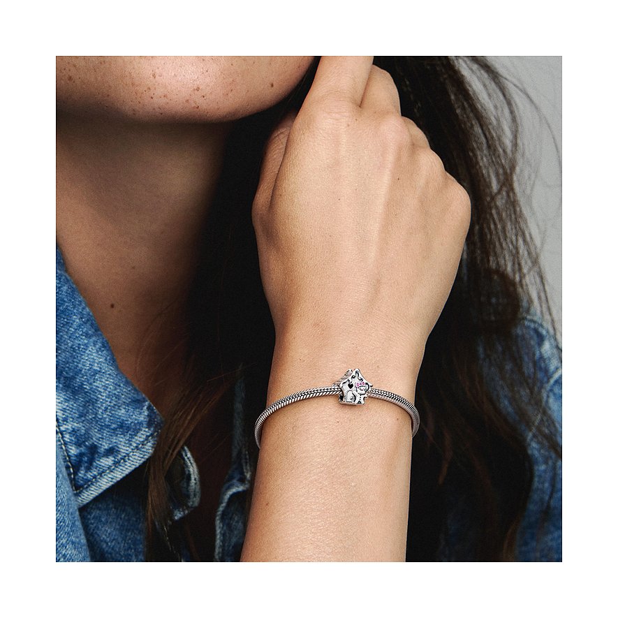 Pandora Charm Moments