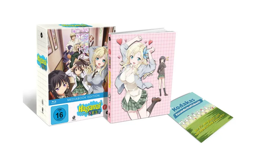 Haganai Next (Volume 1)