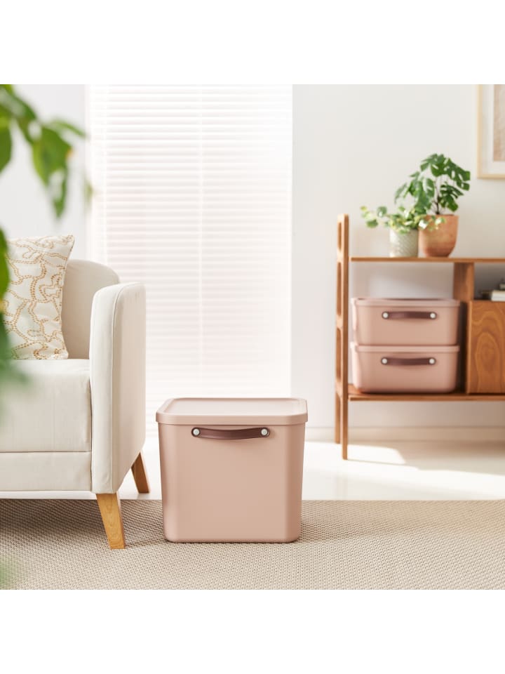 Rotho Aufbewahrungsbox mit Deckel 40 l MALOJA in Meadow rose günstig kaufen onesize