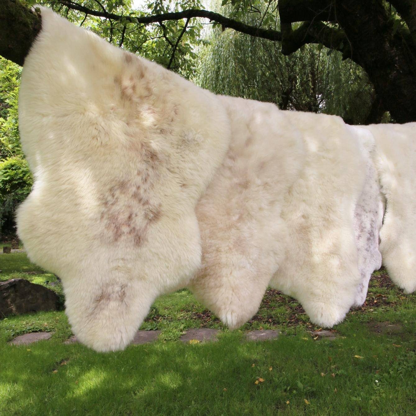 Fellteppich, Hollert, fellförmig, Merino Schaffell Creme Beige gescheckt Naturfell Läufer Teppich dick & kuschelig