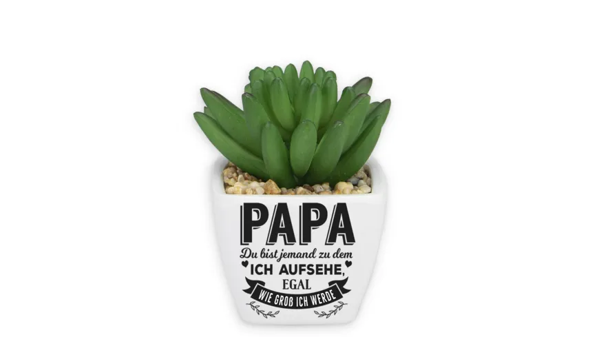 H&H Sukkulenten - Papa