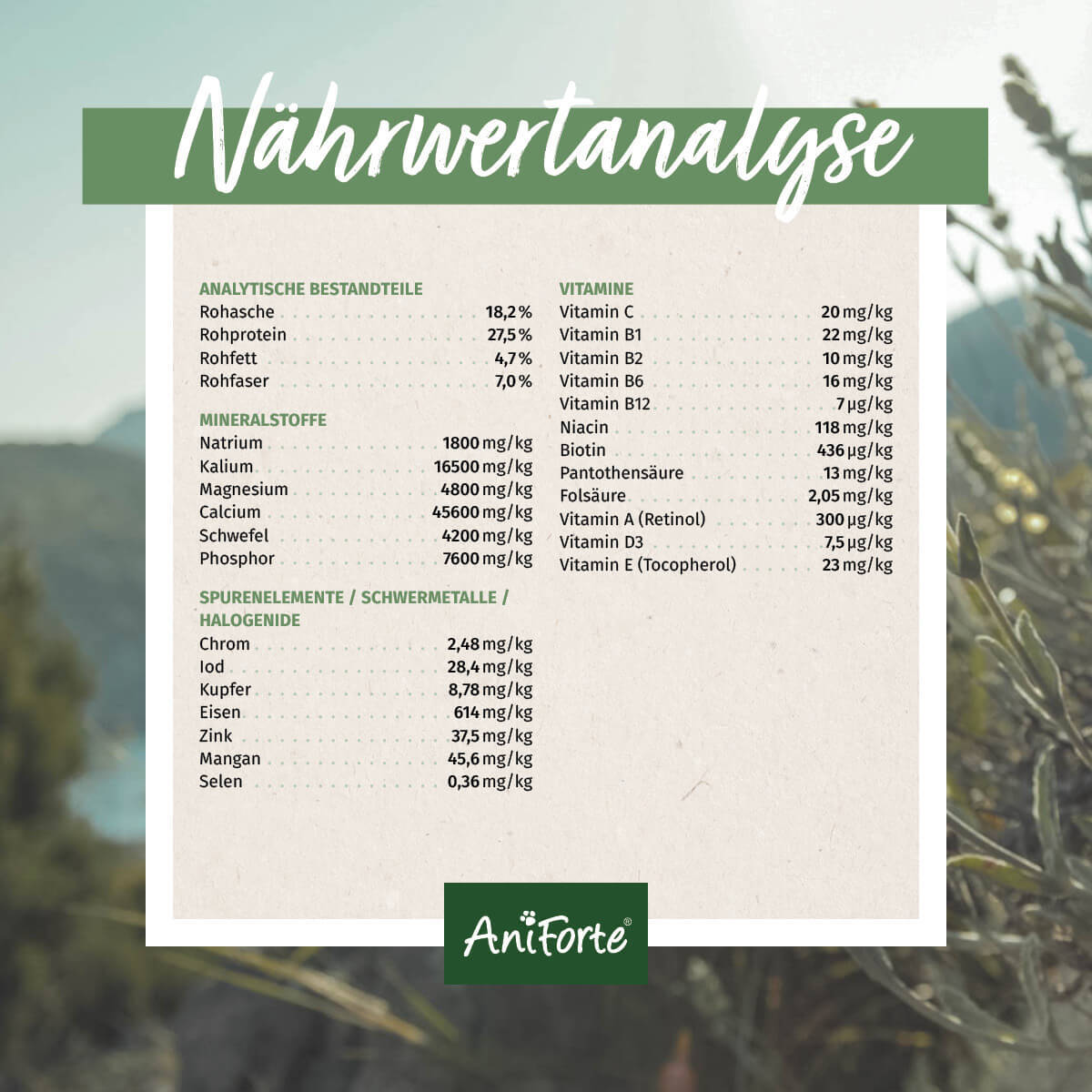 Aniforte Ergänzungsfutter & Aufzucht Aniforte BARF Complete 500 g 500 g