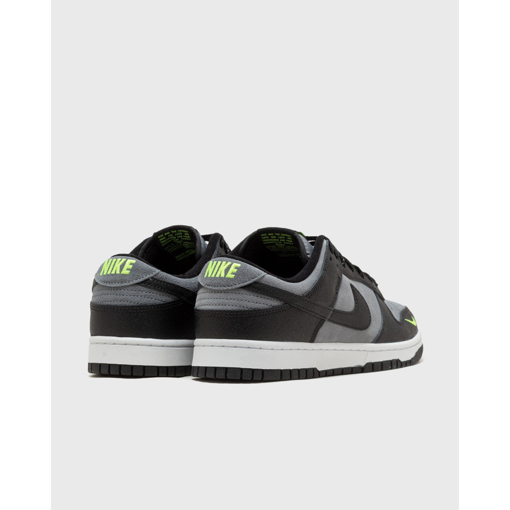 Nike Dunk Low FQ2205-001 / grau