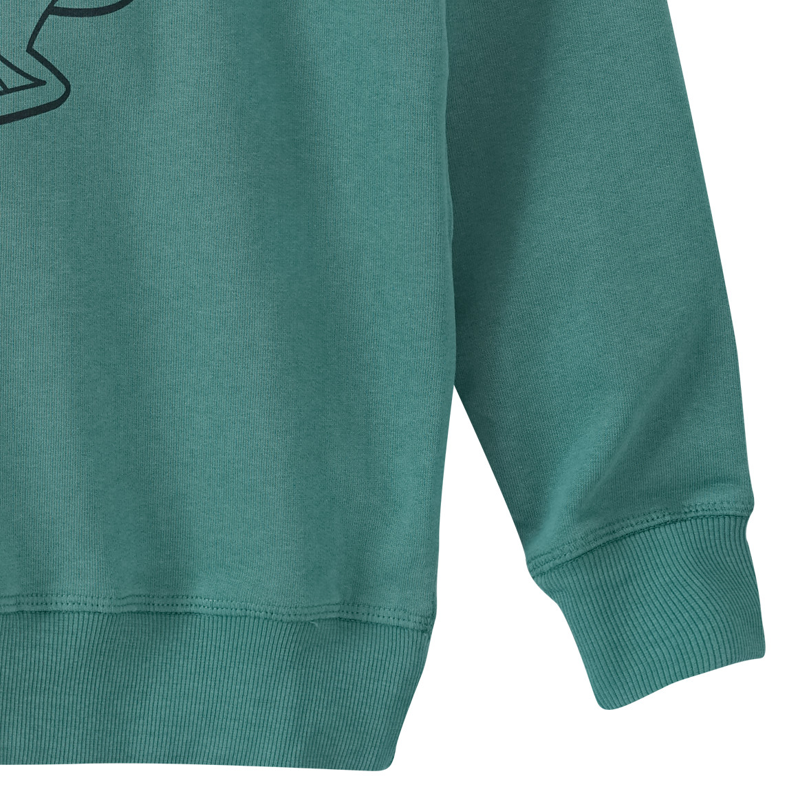 Jungen Sweatshirt mit Dino-Print