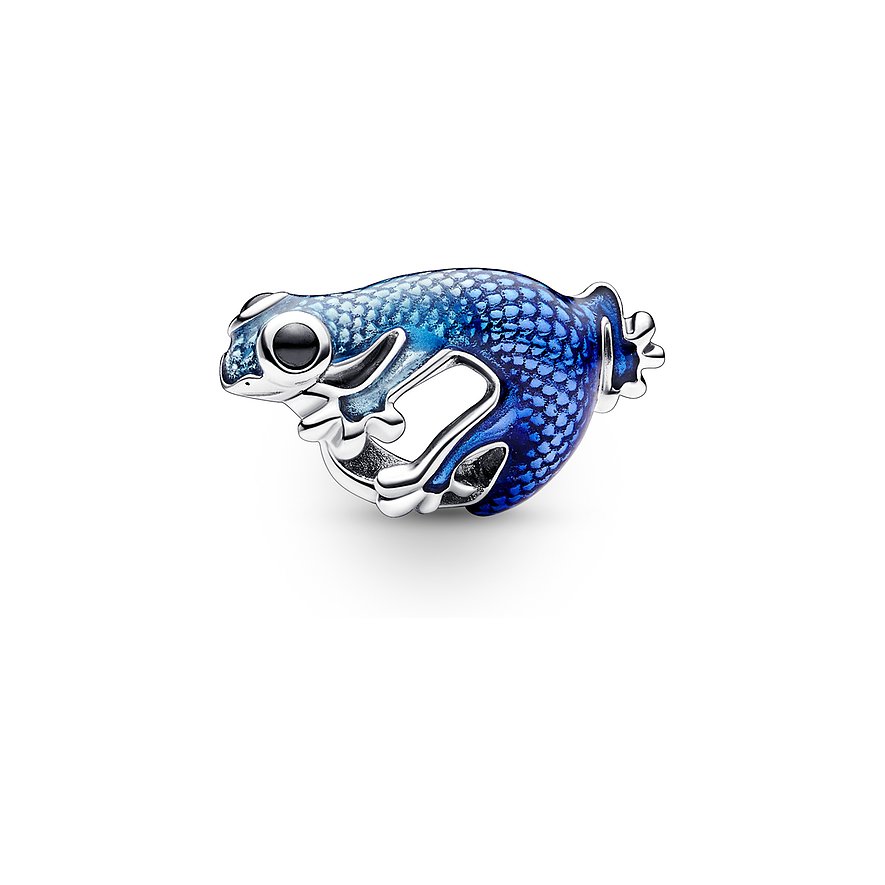 Pandora Charm Moments
