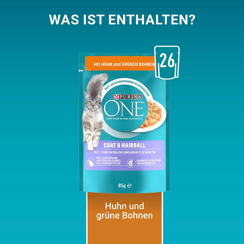 PURINA ONE Coat & Hairball mit Huhn & grünen Bohnen