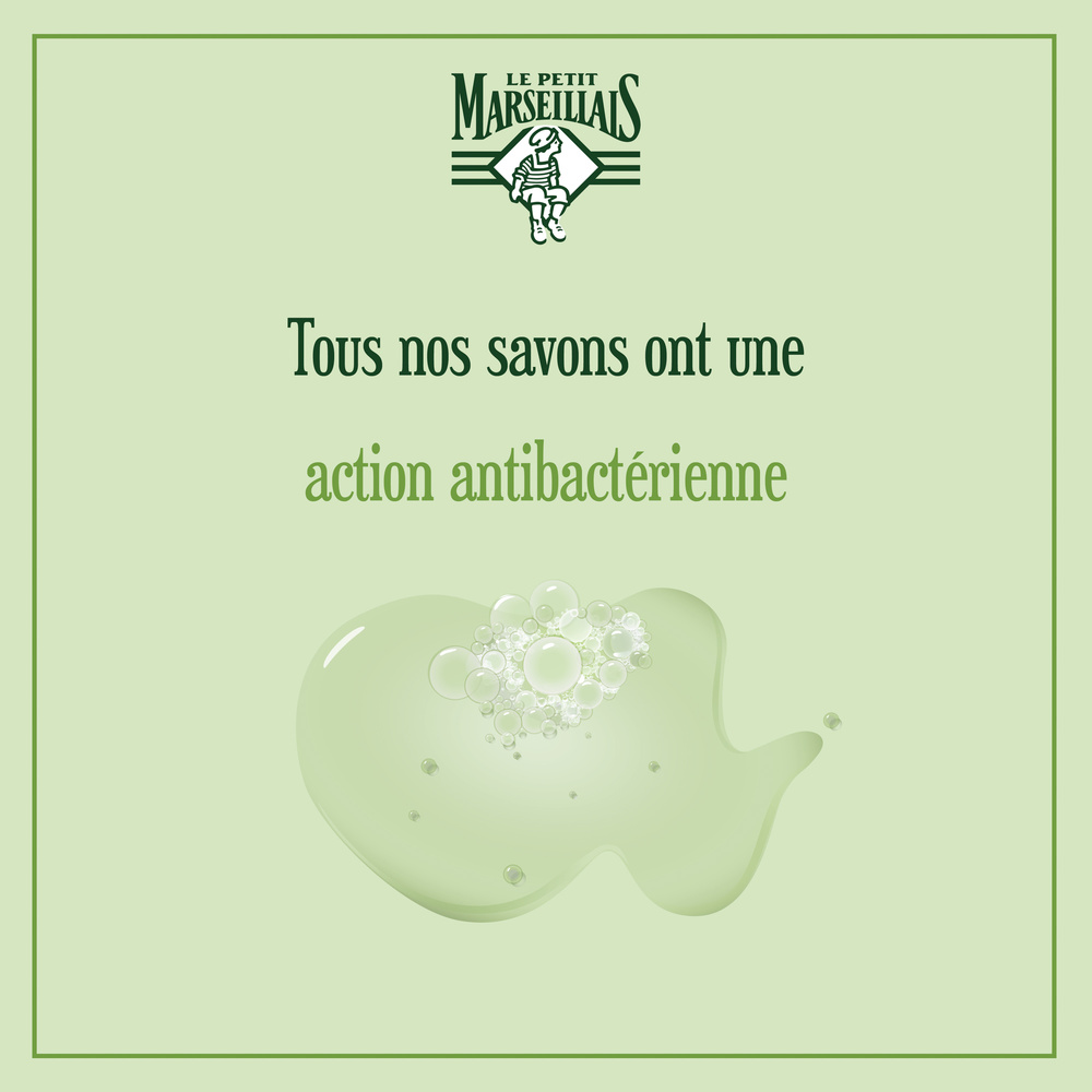 le petit marseillais Savon Liquide BIO Rose Sauvage - ActionAntibactérienne 290ml Savon